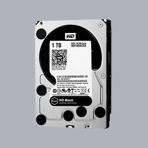 HDD-WD WD10PURX LILAS 1TB